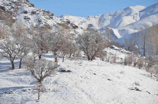Şırnak’ta Termometreler Eksi 21 Dereceyi Gösterdi, Dereler Dondu