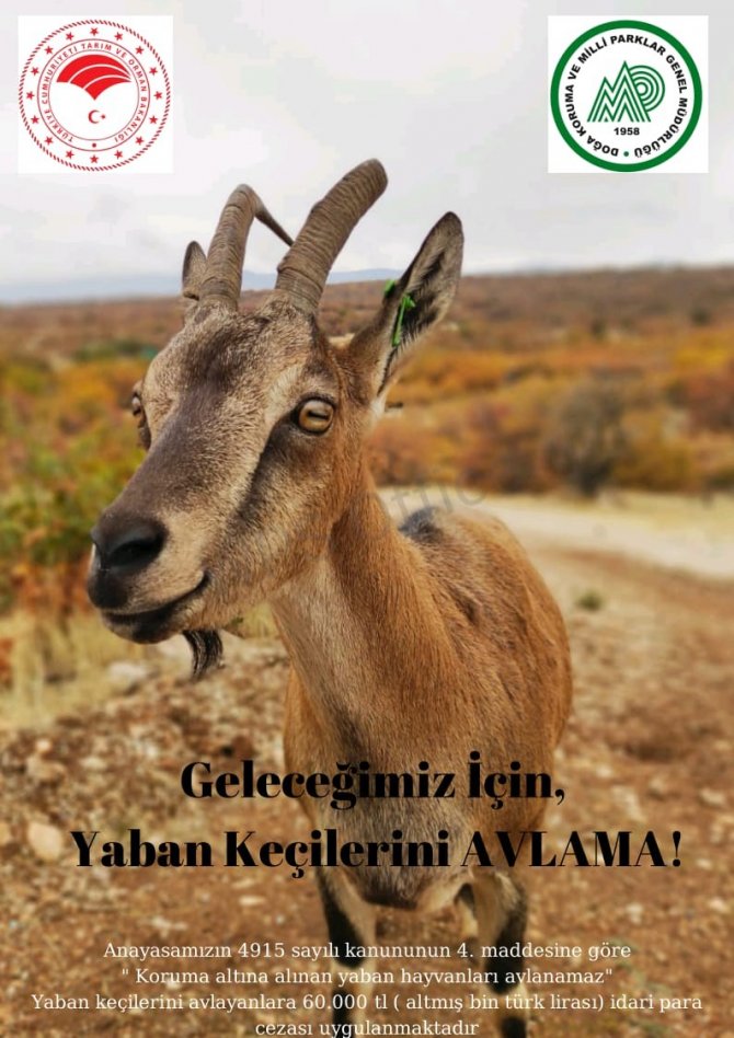 Avcılara Av Eğitimi