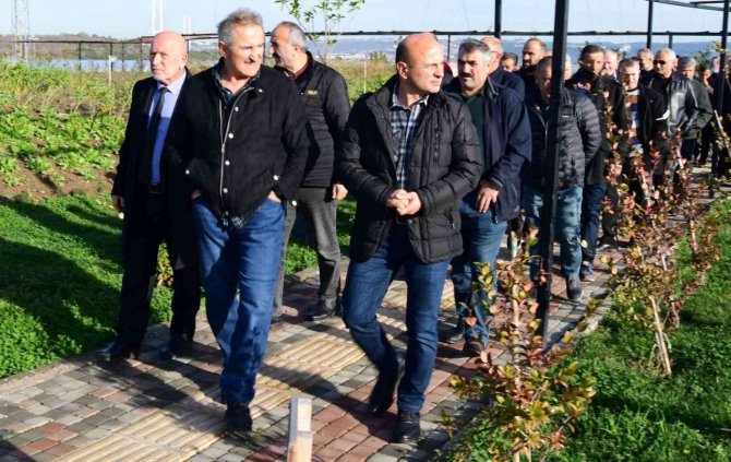 Oral: “Bizim Sevdamız Altınova”