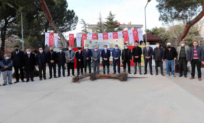 Amasya Çiftçisine Misket Elma Ve Trabzon Hurması Fidanı Dağıtıldı