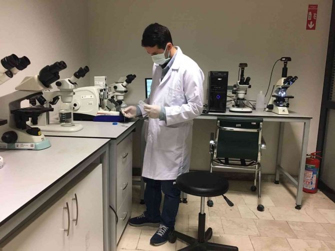 Doç. Dr. Ahmet Can, Cost Programına Çalışma Grubu (Wg) Üyesi Olarak Atandı