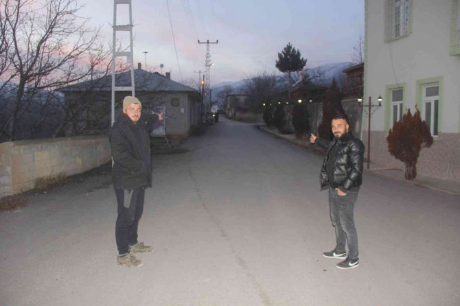 Erzincan’da Köyün İçine Giren Ayı Görüntülendi