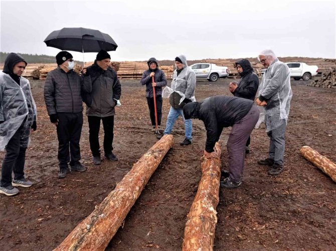 Orman Emvali Deposunda Uygulamalı Tatbikat