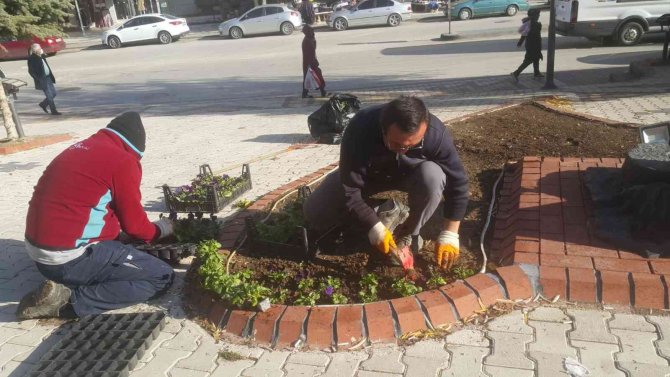Pursaklar Rengârenk Kış Çiçekleri İle Güzelleşiyor