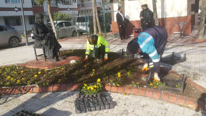 Pursaklar Rengârenk Kış Çiçekleri İle Güzelleşiyor