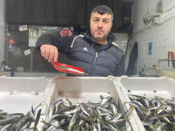 Hamsi Ve Palamudun Yerini İstavrit Aldı, Kilosu 25 Liradan Alıcı Buldu