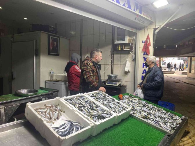 Hamsi Ve Palamudun Yerini İstavrit Aldı, Kilosu 25 Liradan Alıcı Buldu