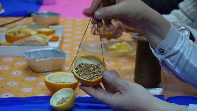 Bu Okul Hem Çevreci Hem De Hayvan Sever