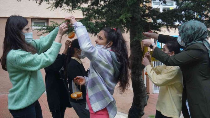 Bu Okul Hem Çevreci Hem De Hayvan Sever