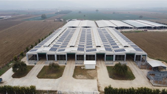 Cw Enerji, Tarım Çiftliğine Güneş Enerji Santrali Kurdu