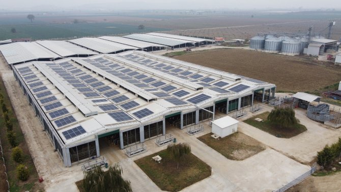 Cw Enerji, Tarım Çiftliğine Güneş Enerji Santrali Kurdu