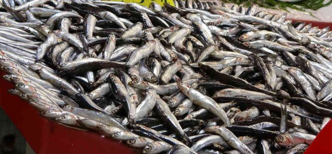 Kilosu 80 Lira, Kapış Kapış Satılıyor