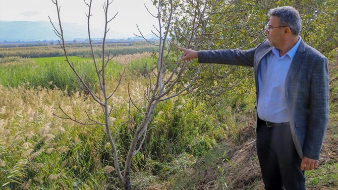 Başkan Güler’den Köşk Arıtma Tesisi Açıklaması