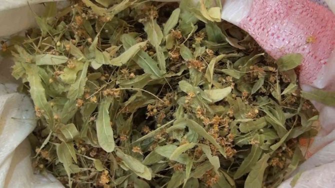 Kış Geldi, Aktarlara İlgi Arttı