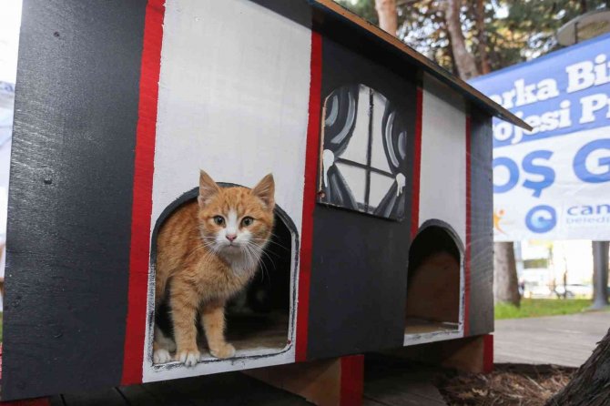 Çocuklar, Başkan İle Hayvan Kulübesi Boyadı