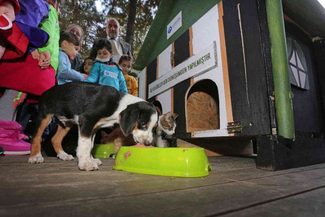 Çocuklar, Başkan İle Hayvan Kulübesi Boyadı