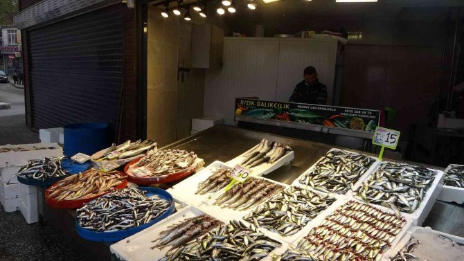 Hamsinin Fiyatı Tırmanışa Geçerek Rekor Seviyeye Ulaştı