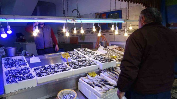 Hamsinin Fiyatı Tırmanışa Geçerek Rekor Seviyeye Ulaştı