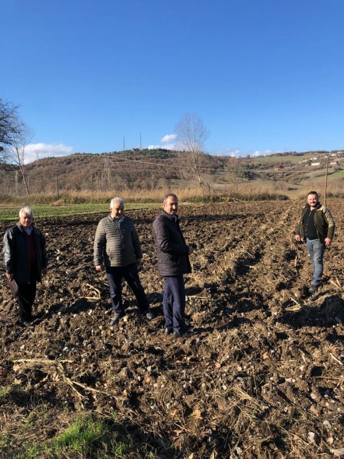 Bbp Buğday Ekerek Tarıma Giriyor
