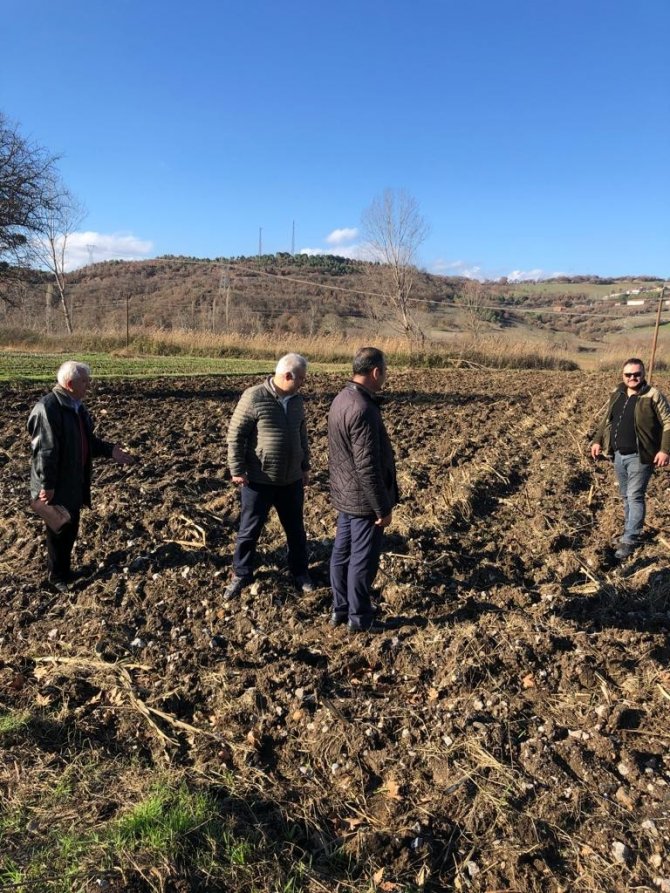 Bbp Buğday Ekerek Tarıma Giriyor