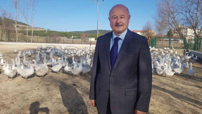 Kaz Yetiştiriciliği İle Üretim Sağlanarak Şehirlere Göç Engellenecek