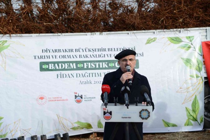 Eğil’de Çiftçilere 180 Bin Badem, Fıstık Ve Ceviz Fidanı Dağıtıldı