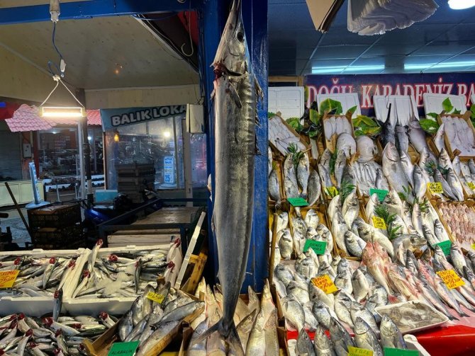 2 Bin Liraya Satılan 1 Buçuk Metrelik Kılıç Balığı İlgi Çekiyor