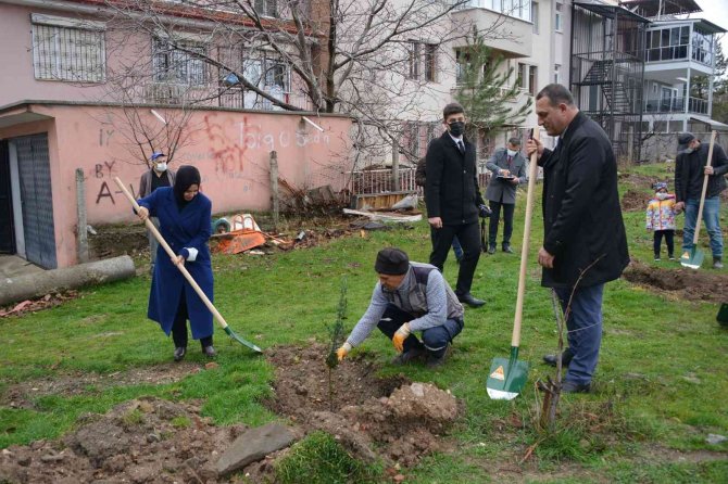 Gediz’de Fidan Dikimi Gerçekleştirildi