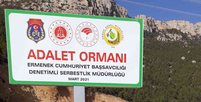 Ermenek’te Adliye Çalışanları Dik Yamaçlara Tohum Serpti