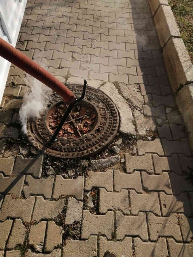 Yahşihan’da Zararlı Haşerelerle Mücadele Sürüyor