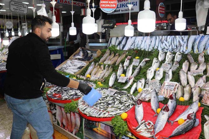 Yaşanan Bolluk Balık Fiyatlarını Düşürdü