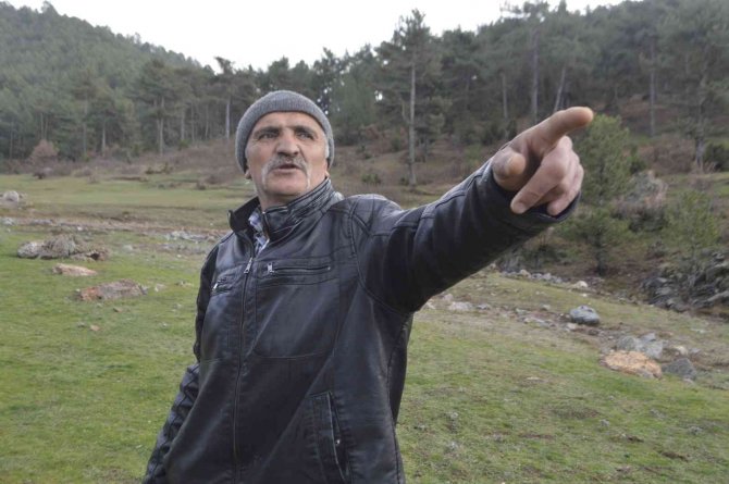 Kütahya’da 5 Çoban Köpeği Ve Yabani Hayvanların Zehirlendiği İddiası
