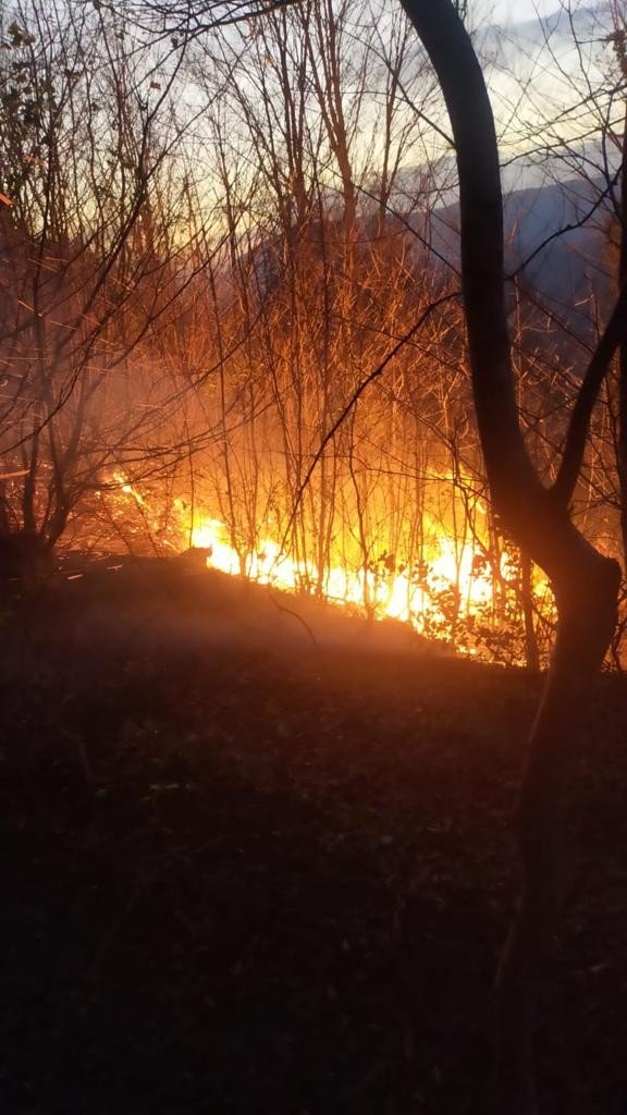 Karadeniz’de Orman Ve Bahçe Yangınlarına Dikkat