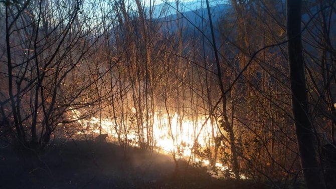 Karadeniz’de Orman Ve Bahçe Yangınlarına Dikkat