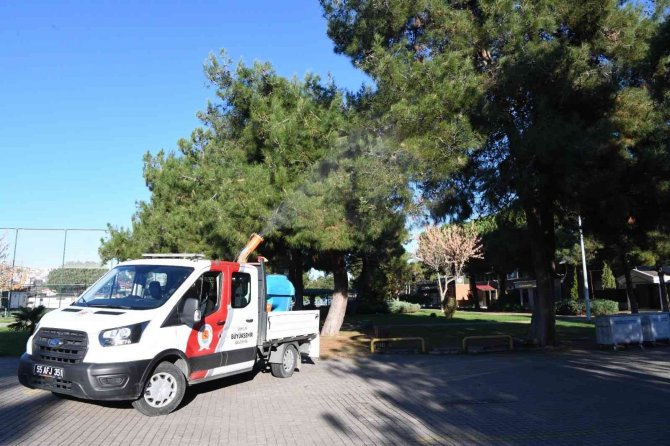 Çam Kese Böceği İle İlgili Biyolojik Mücadele