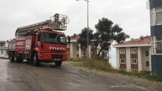 Elektrik Tellerine Takılan Martı Kurtarıldı