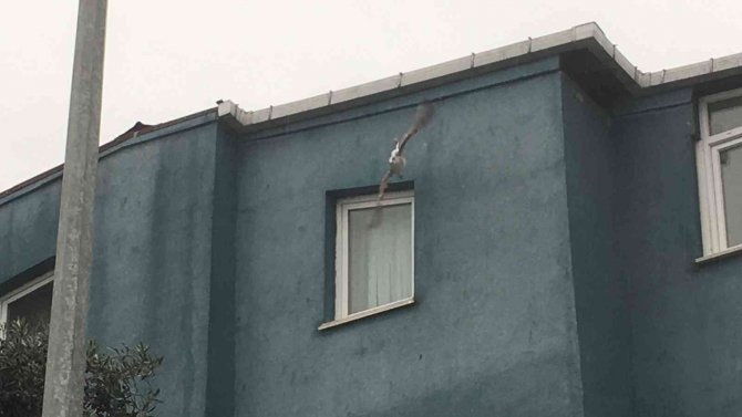 Elektrik Tellerine Takılan Martı Kurtarıldı