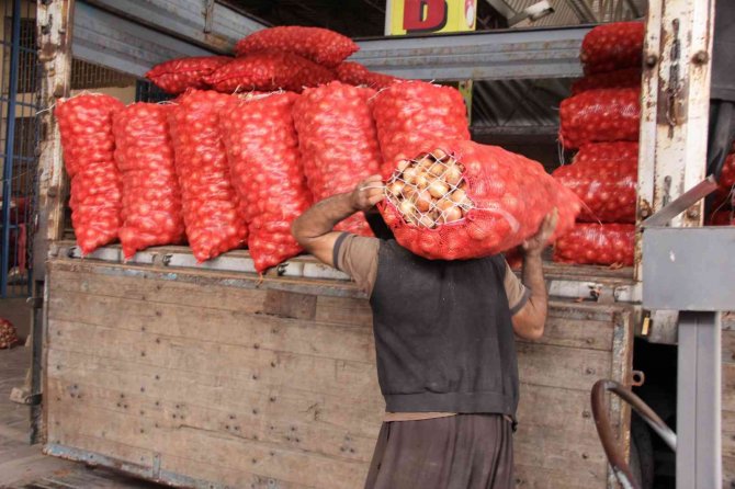 Şen: "Tarım Sektörü, Serbest Piyasa Ekonomisinin Dışında Planlanmalı"