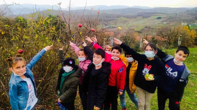 Minik Öğrenciler Aç Kalan Kuşları Unutmadı