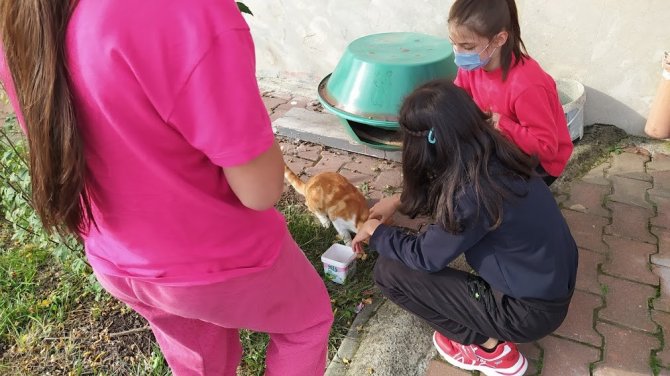 Minik Öğrenciler Aç Kalan Kuşları Unutmadı