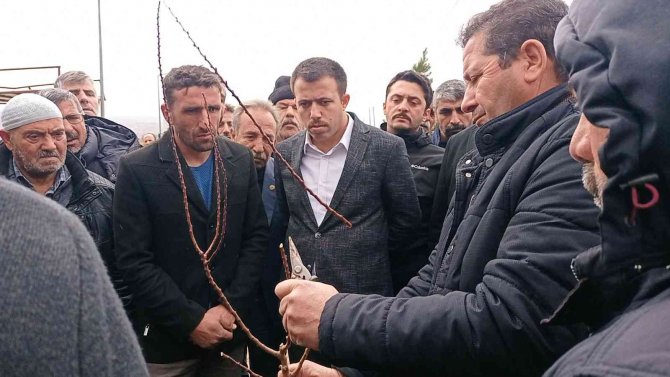 Dicle’de 111 Çiftçiye 33 Bin 880 Adet Badem, Ceviz Ve Fıstık Fidanı Dağıtıldı
