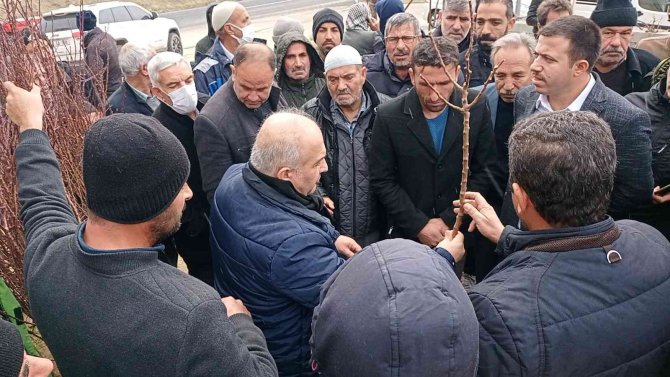 Dicle’de 111 Çiftçiye 33 Bin 880 Adet Badem, Ceviz Ve Fıstık Fidanı Dağıtıldı