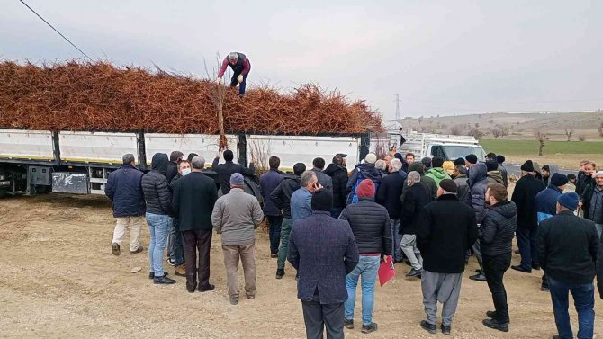 Dicle’de 111 Çiftçiye 33 Bin 880 Adet Badem, Ceviz Ve Fıstık Fidanı Dağıtıldı