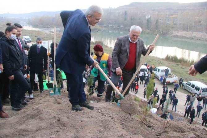 Diyarbakır Fetih 1382 Hatıra Ormanı’nda 10 Bin 918 Ağaç Dikildi