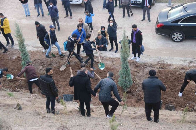 Diyarbakır Fetih 1382 Hatıra Ormanı’nda 10 Bin 918 Ağaç Dikildi
