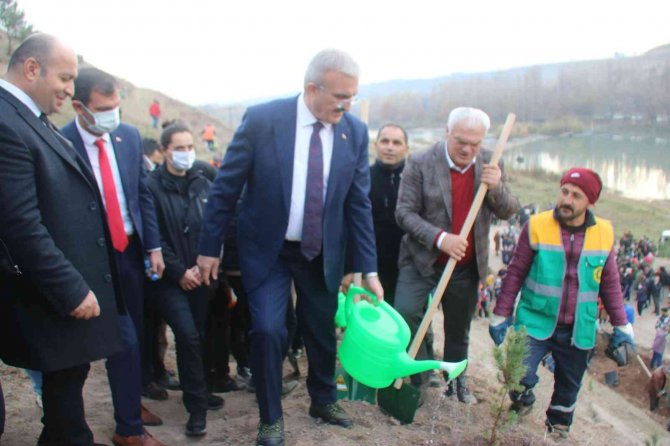 Diyarbakır Fetih 1382 Hatıra Ormanı’nda 10 Bin 918 Ağaç Dikildi