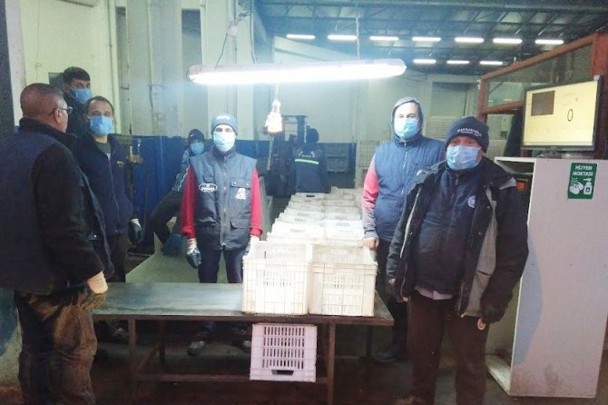 Erdek’te Zeytin Hasadında Sona Gelindi