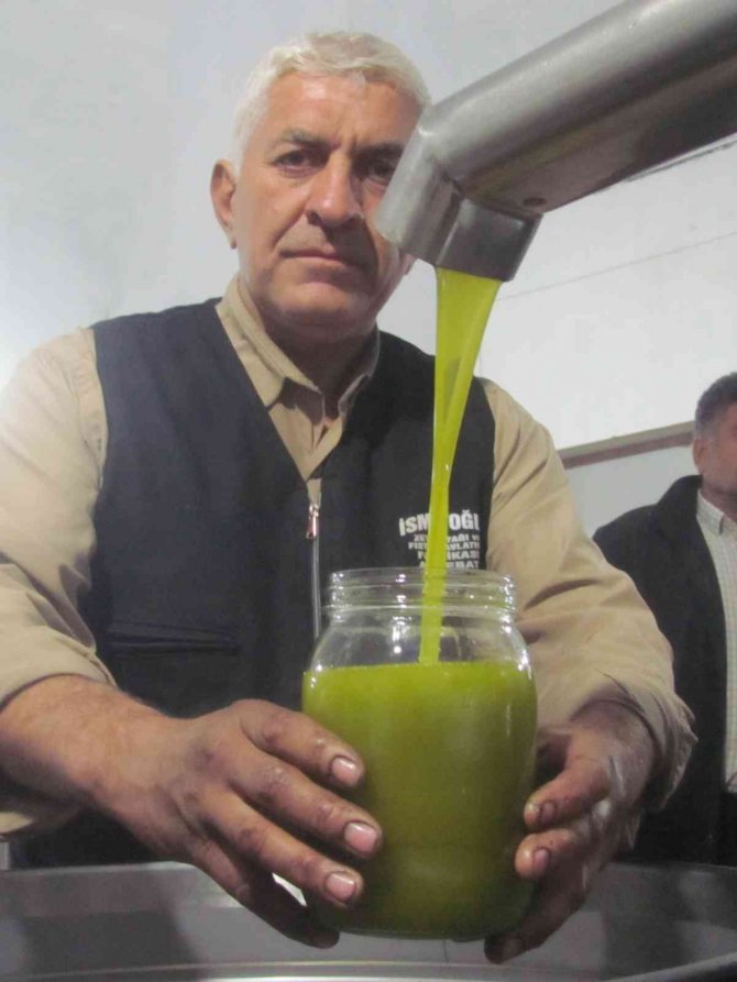 Güneydoğu’nun Tahıl Ambarı Zeytinyağı Üretiminde De İddialı