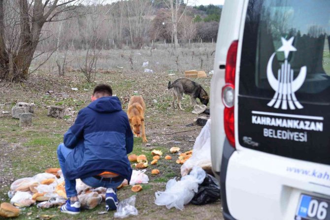 Başkan Oğuz: “Bu Soğuk Günlerde Herkes Kapısının Önüne Ya Da Parklara Biraz Yiyecek Bırakabilir”