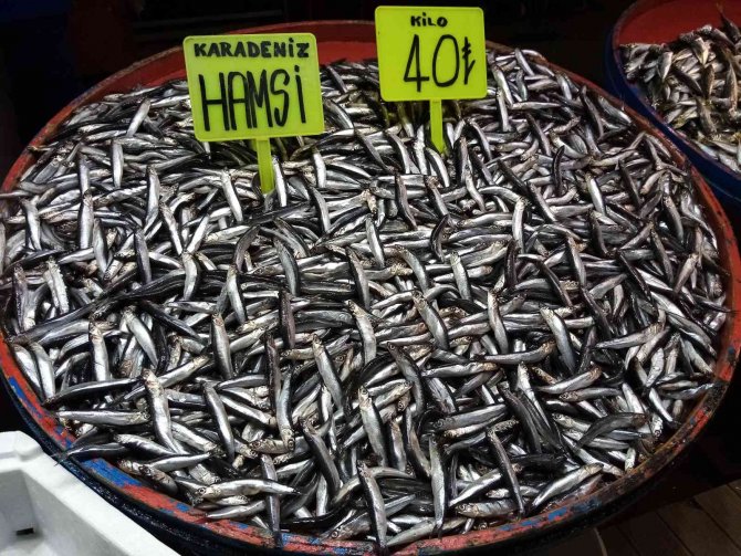 Balık Tezgahları Buz Kesti